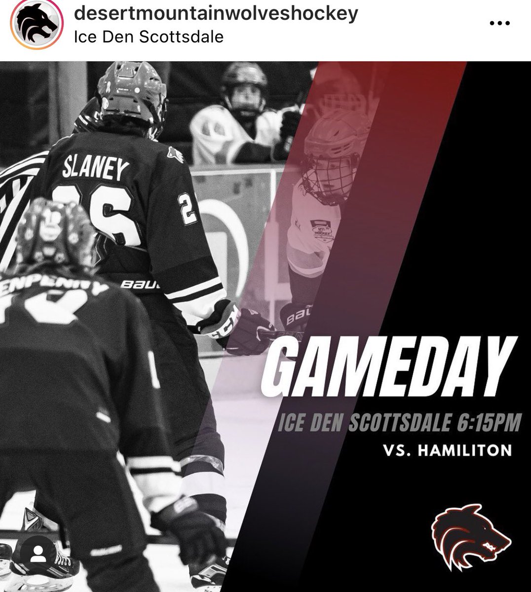 Desert Mountain Wolves Hockey tweet media