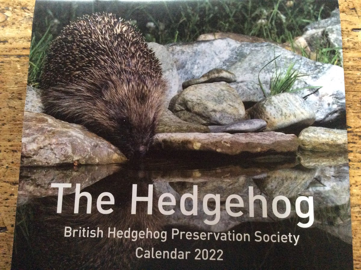 As a proud patron of the British Hedgehog Preservation Society, was very happy to receive my calendar for 2022. Spreading the word that they are available on their website//shop.britishhedgehogs.org.uk 
Please help to support this charity 
Such wonderful creatures.