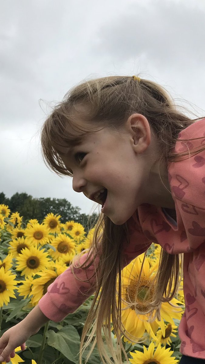 WebbPemberton's tweet photo. #beckettssunflowers https://t.co/HydPdGDVJn