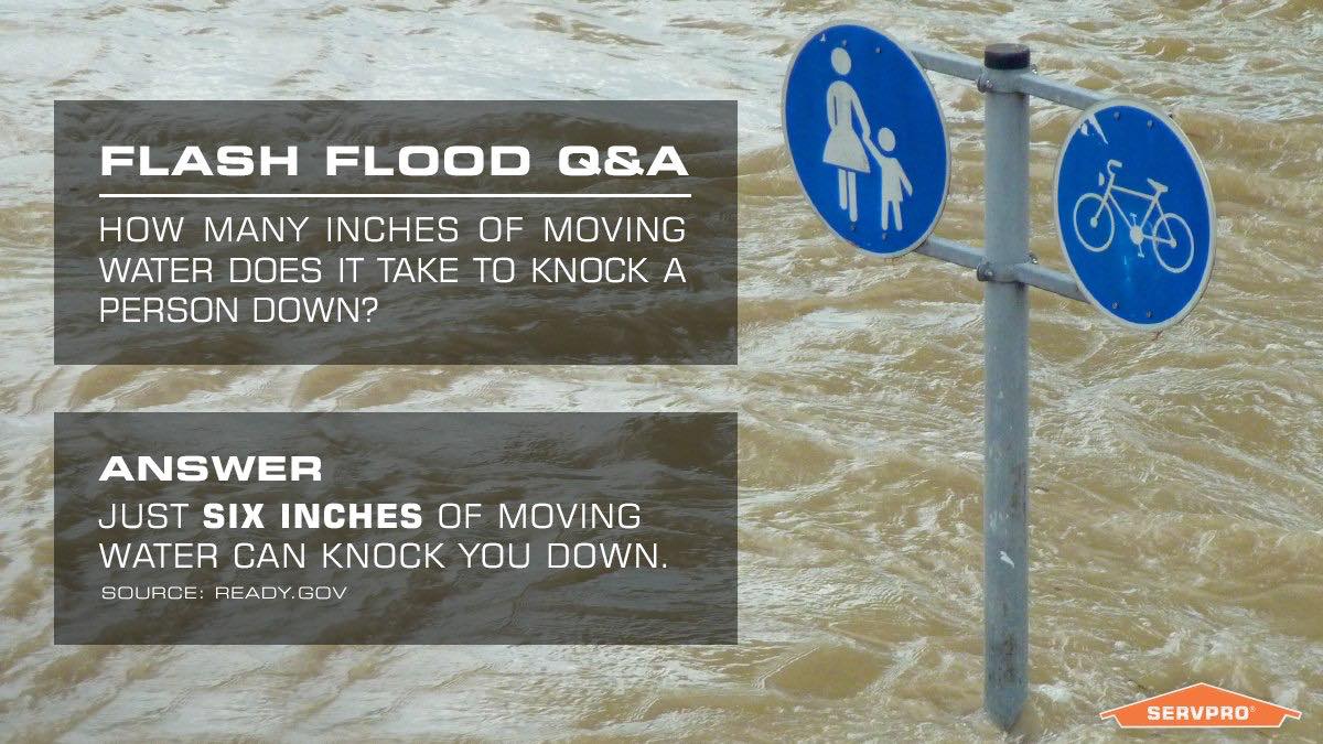 richland_of's tweet image. Always steer clear of moving water, even if it seems shallow. #flashflooding #safetypreparedness #safetytips #SafeTravels #flooding #SERVPRO #WeCareForYou