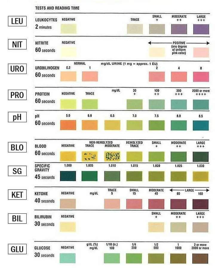 knows_med's tweet image. 📌 Clinical Microscopy (Reagent Strip Test and Reading time)