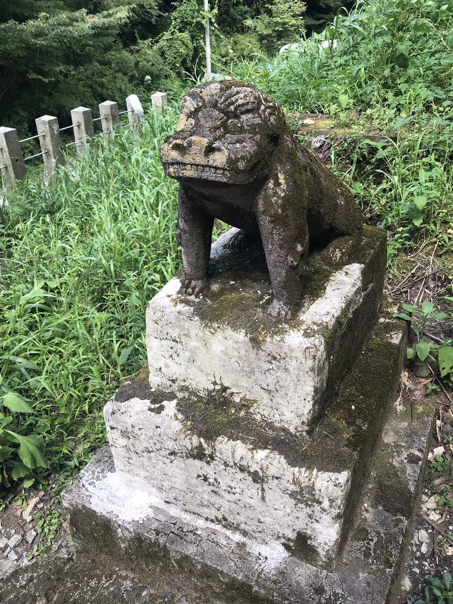 すいすい على تويتر 世界で一番可愛い狛犬 阿蘇高森の上色見熊野座神社 人魚の森 のなりそこないみたいで 可愛い
