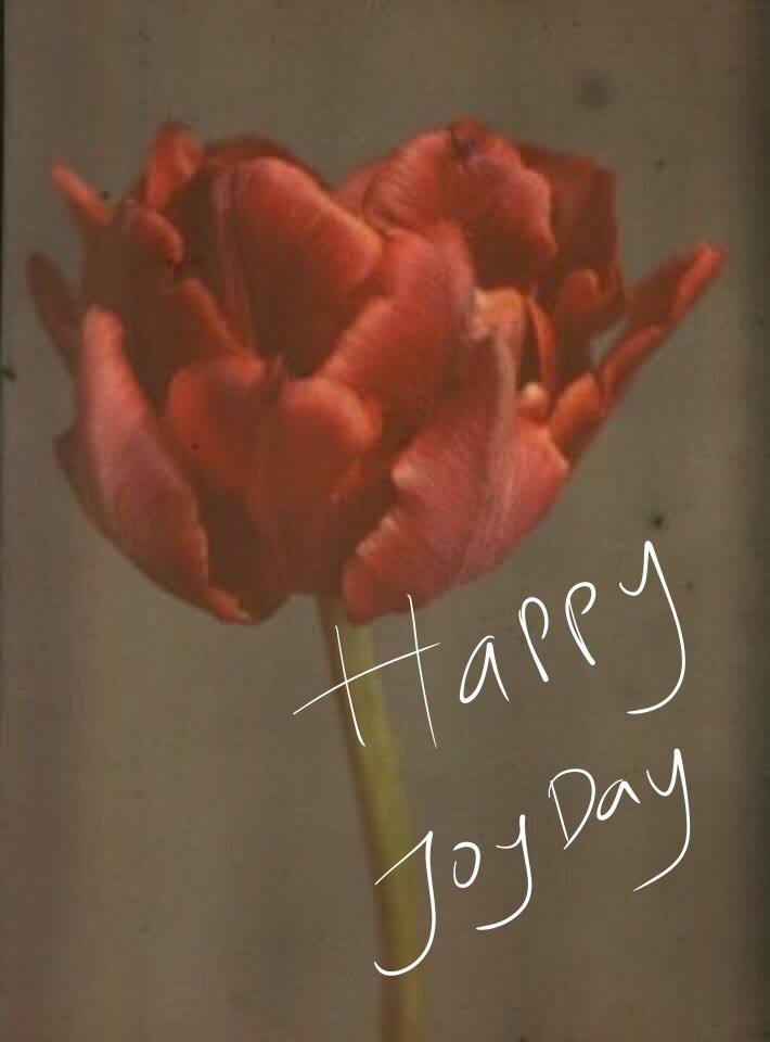 httpgap's tweet image. Happy Birthday, Joy.
@parcdon - @J0YIE__