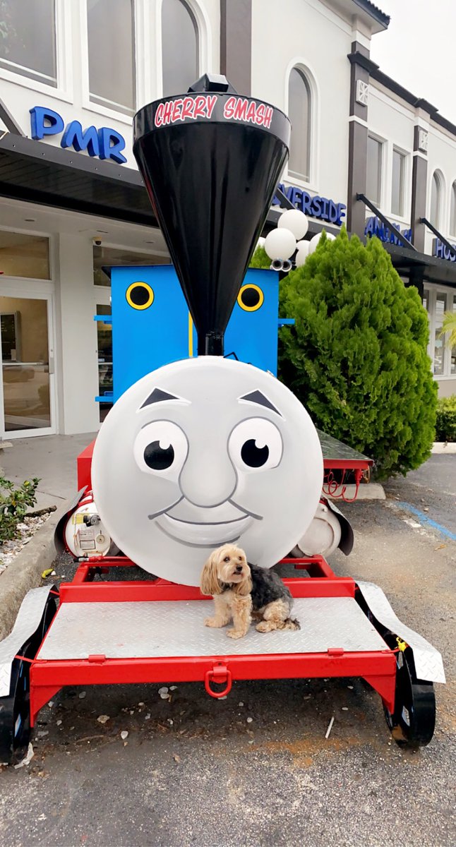 CherrySmashFL's tweet photo. Thomas the Tank Engine! 🚂🚂🚂🚂 https://t.co/Q9eTFs0foC