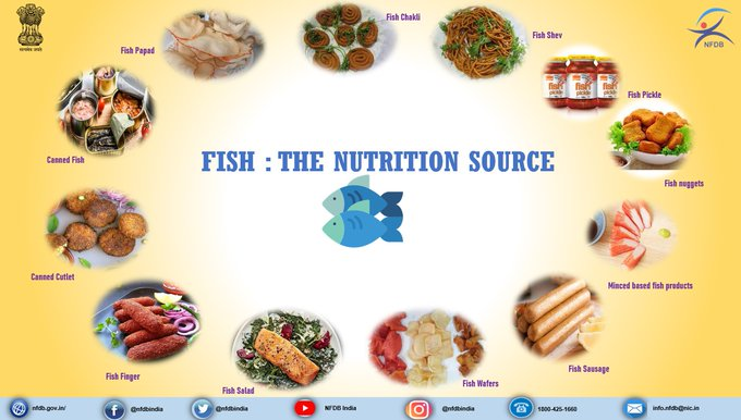 PibLucknow's tweet photo. A fish a day... keeps illness at bay!

#EatFishStayHealthy
#Fish4Poshan
#NationalNutritionWeek2021 
#POSHANMaah2021 https://t.co/i88Py5yokQ