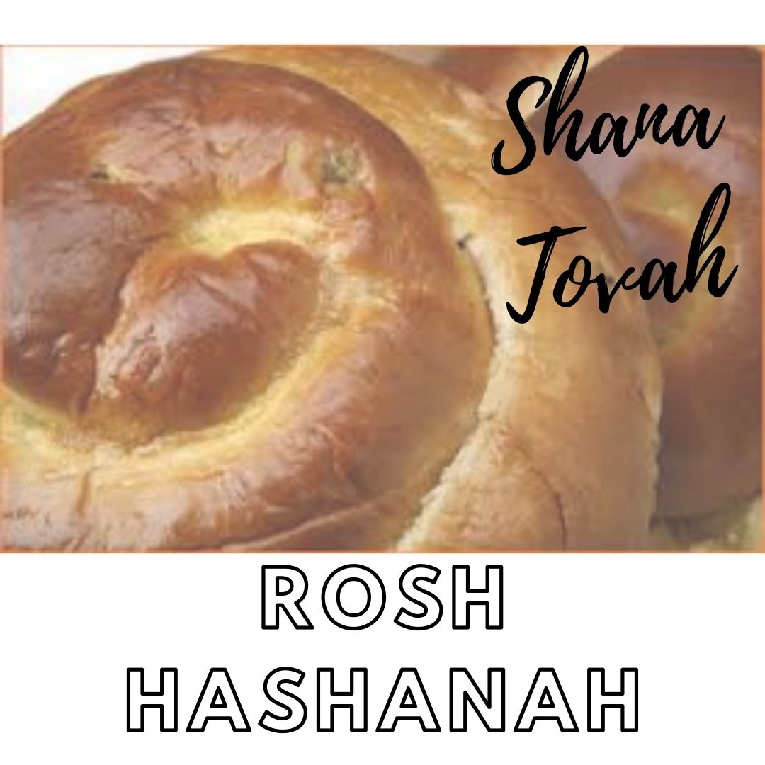 Great Harvest Alexandria tweet media