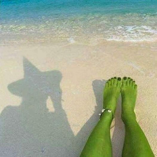 IrenaBuzarewicz's tweet image. Friday