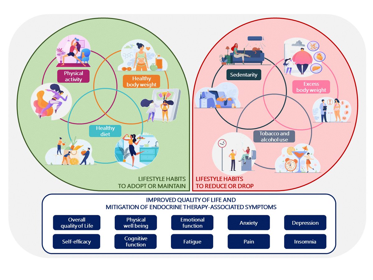 dimeglio_anto's tweet image. Healthy lifestyle behaviors have the potential to modulate the downstream impact of adjuvant endocrine therapy and improve QOL in women with early-stage breast cancer. ⬆️🏃‍♂️🏋️‍♀️🤸/⬇️🍔🍟🍷🚬

Happy to share our work in @CO_Oncology 👇📰
pubmed.ncbi.nlm.nih.gov/34456250/
@PrestiMD @inesvazluis