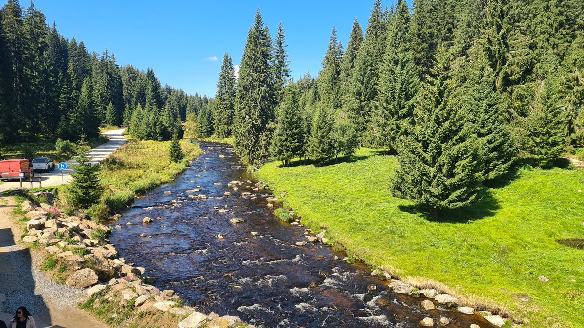 mabecz's tweet photo. Takhle by ten pátek šel, Modrava super, pivo fajn, dokonce i bohemáky jsme potkali a koupačka taky byla 🏞️🍺🦘🐶 #minidovolena #modrava https://t.co/whjAejo5Ph