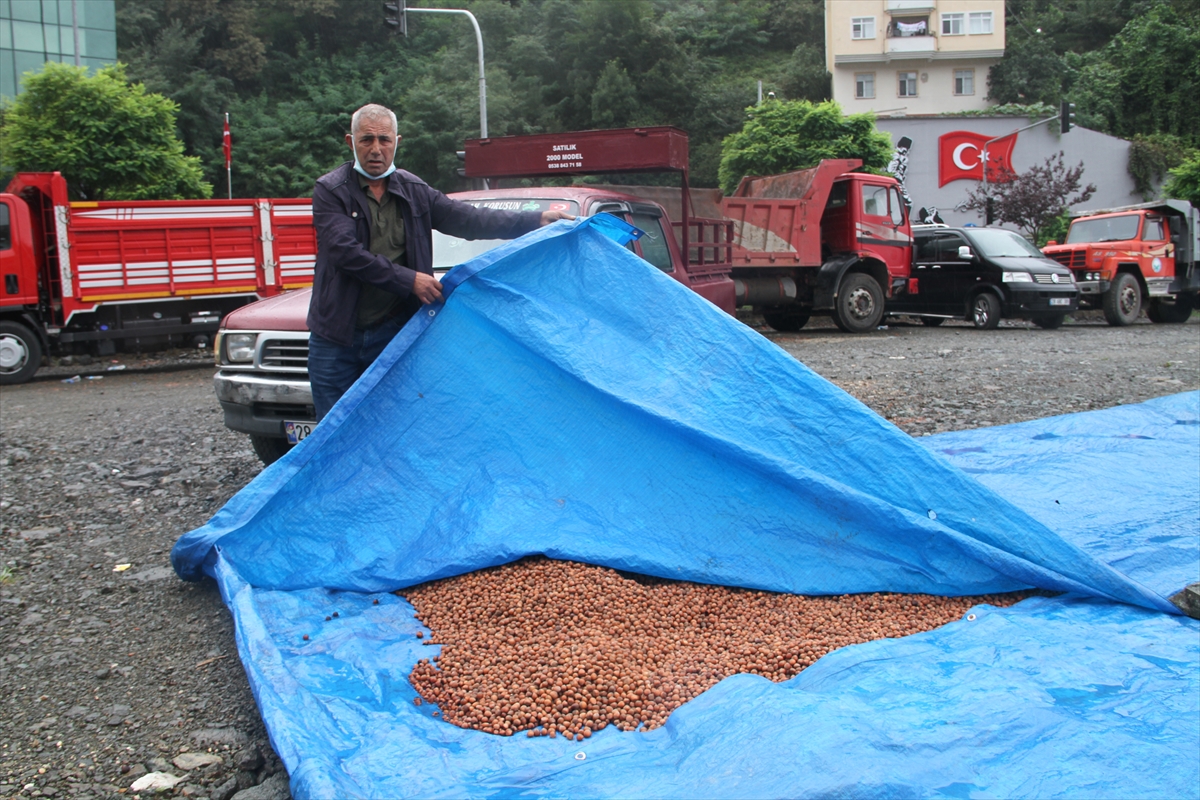 bpthaber's tweet photo. Giresun'da halk, fındıkları kurutabilmek için güneş duasına çıktı. https://t.co/6HYfpqshKG