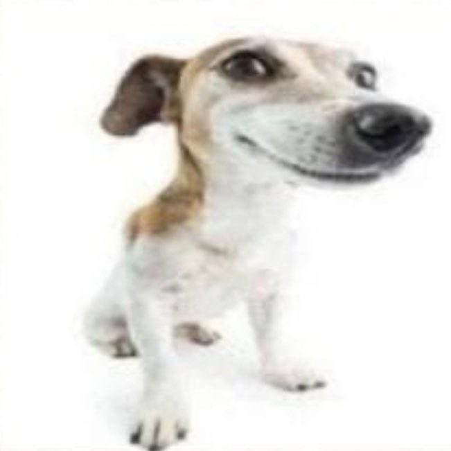 ctfuloona's tweet photo. @x1bits she WILL debut i think https://t.co/1q1yEbIQs1