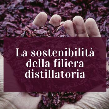 🌟 Manca solamente una settimana all’incontro organizzato insieme all’onorevole Filippo Gallinella, deputato e presidente della commissione #Agricoltura, per parlare di sostenibilità. #AssoDistil 

👉 bit.ly/3kTZzXl