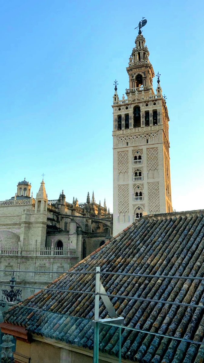 Edwin Samuel tweet media