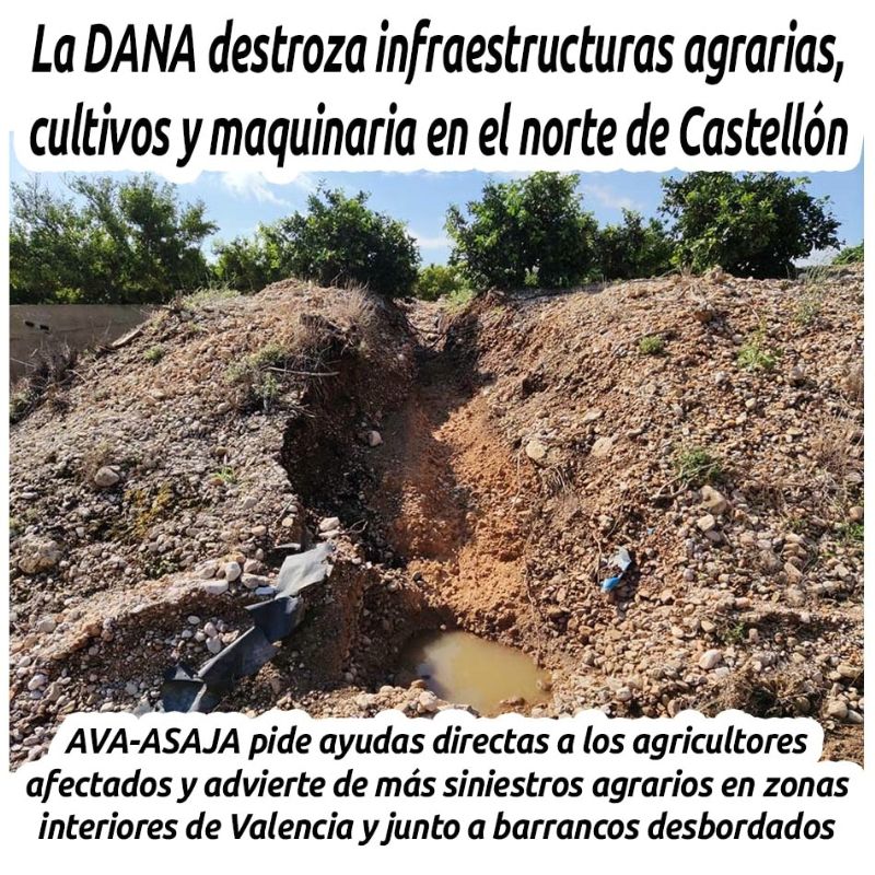 LA DANA DESTROZA INFRAESTRUCTURAS AGRARIAS, CULTIVOS Y MAQUINARIA EN EL NORTE DE CASTELLÓN

hosteleriaenvalencia.com/noticias.asp?i…

@ava_asaja #avaasaja #HosteleriaEnValencia #CristobalAguado #ComunidadValenciana #Pedrisco #Cultivos #Castellon #Maquinaria #Agricultura #Citricos #Hortalizas