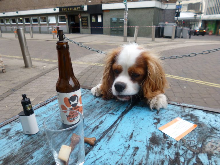 AboutBirm's tweet photo. There are lots of options for #dogfriendly pubs in #Birmingham especially in the @BirminghamJQ and near @custardfactory

https://t.co/6umYiFL6HI https://t.co/lwLCEZZrgu