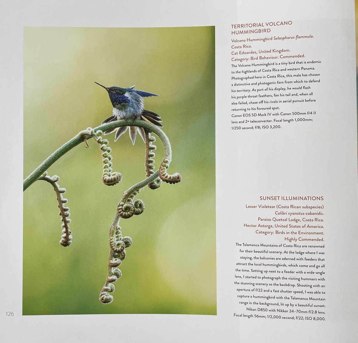 CatEdwardes's tweet photo. Great to see my picture in the @BirdPOTY book https://t.co/93n9sHR055