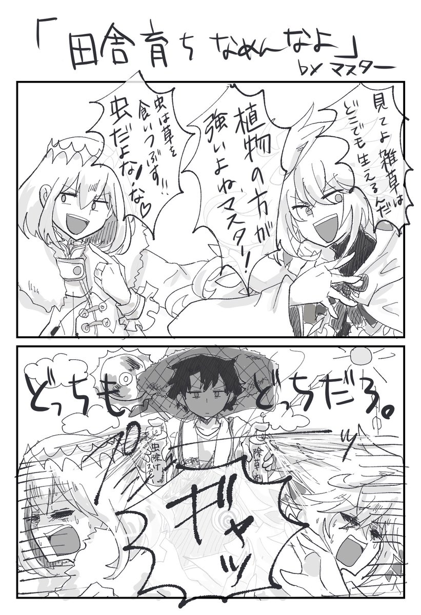 田舎じゃどっちも戦闘相手なんですよ
#FGO 