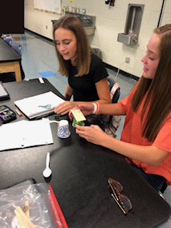 SC STEM Educator of the Year tweet media