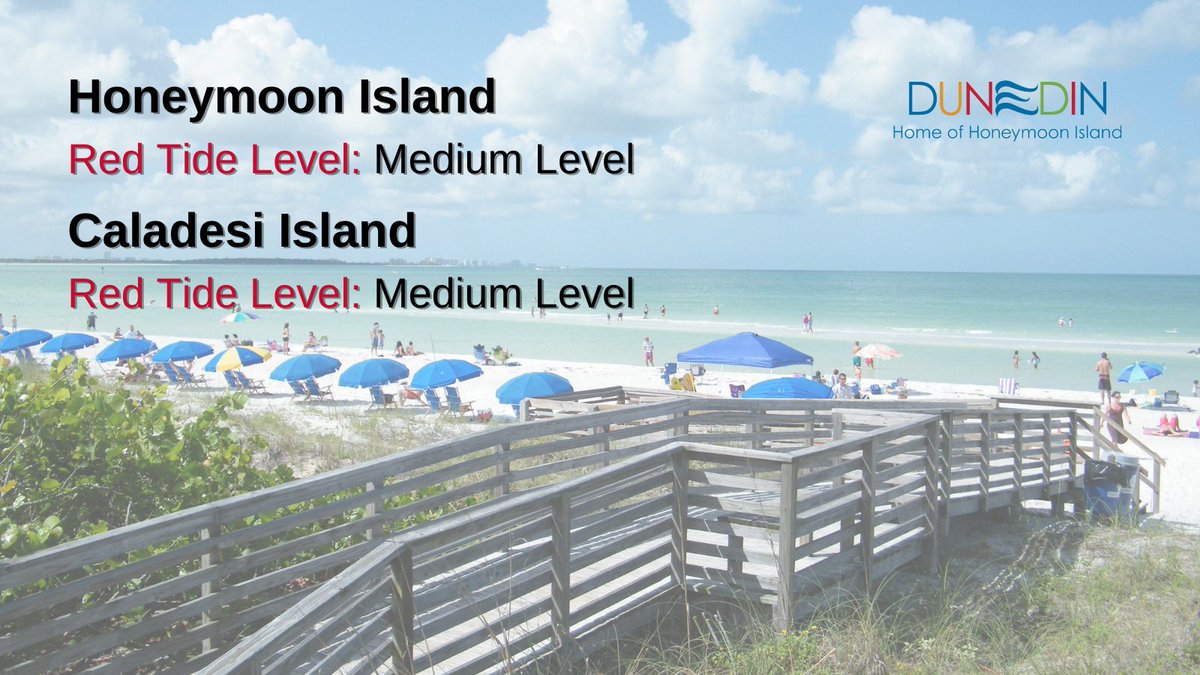 background image of Honeymoon Island with text that reads "Honeymoon Island red tide level: Medium Level. Caladesi Island Red tide level: medium level."