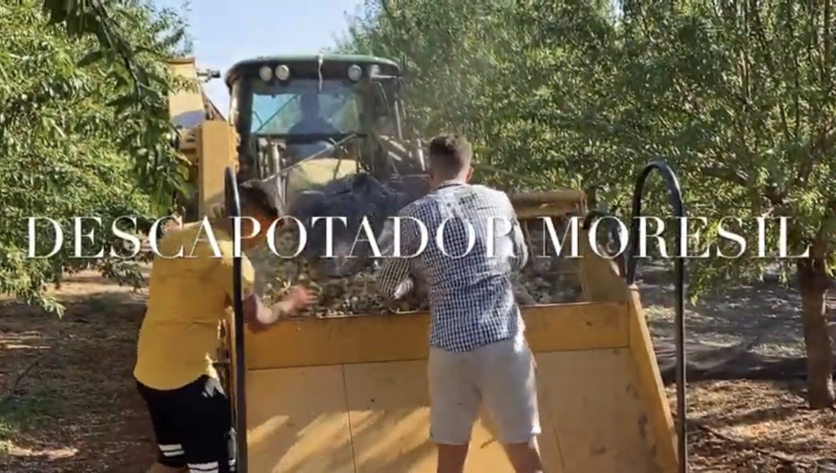 Y en la misma finca estaba el amigo Pepe Baena con su magnífica empresa de recolección, trabajando con el prototipo ideado por él y perfeccionado por <a href="/MoresilSL/">Moresil</a> para descapotar instantáneamente. Perfecto. Mando vídeo también hecho por el crack <a href="/AJ_Robles/">Antonio J Robles 🇪🇸</a> 

youtu.be/GkjxhoEsZl0
