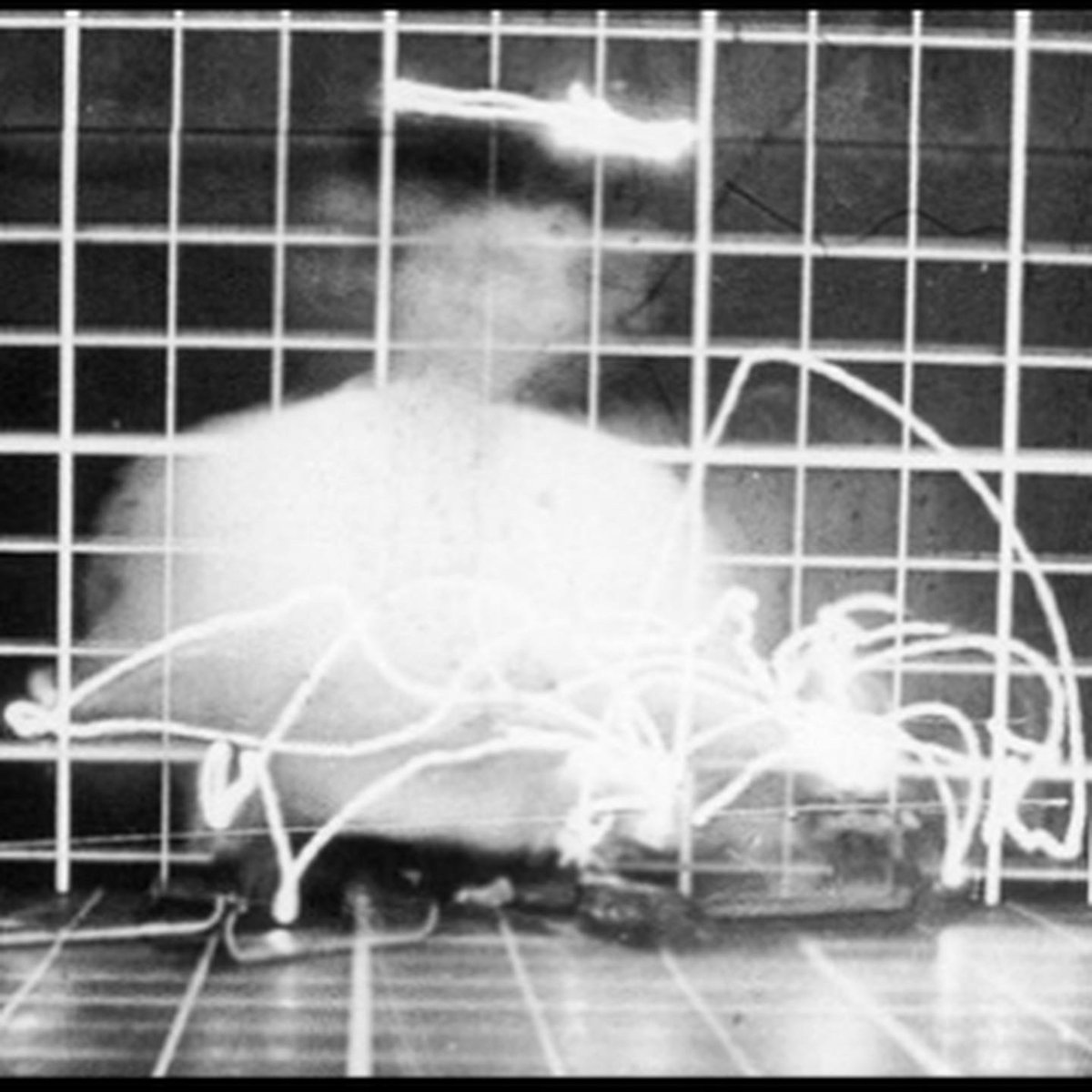 Amy LaViers tweet media