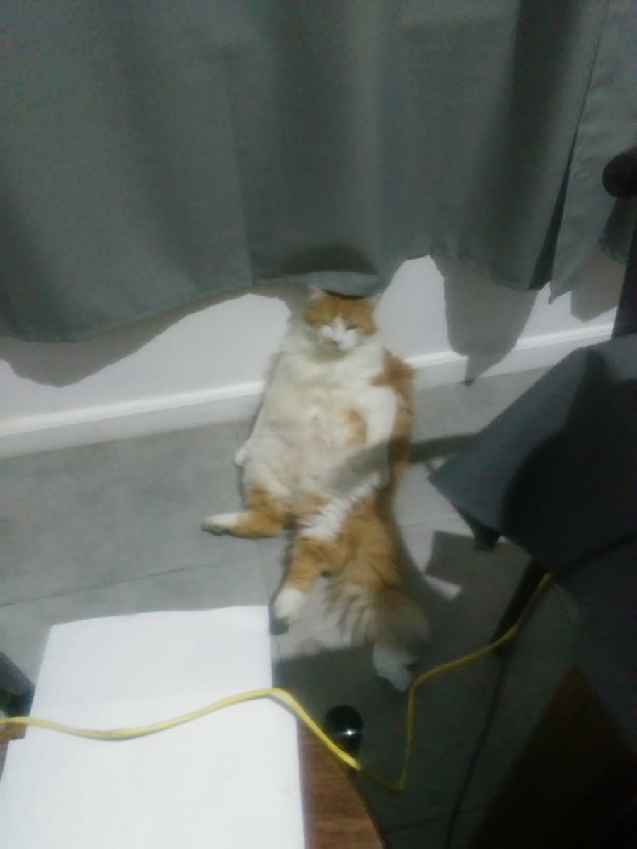 Julepe_HS's tweet photo. @EvilAFM Un man que pesa 6,6 kg y tal. https://t.co/zjY4DZ3Uzx