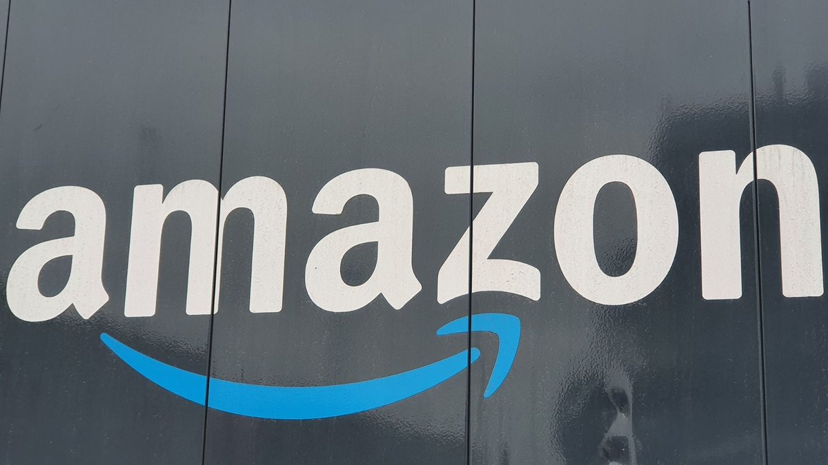 Schluss mit prekären Arbeitsbedingungen und geringem Lohn für Fahrer*innen und Zusteller*innen bei Amazon. DGB Vorstandsmitglied Anja Piel hat sich auch heute an den #ausgeliefert Aktionstagen von verdi und dem Projekt Faire Mobilität in Brandenburg beteiligt. 