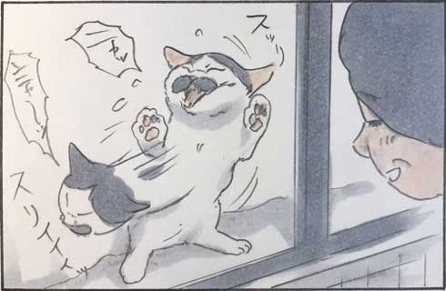 態度が急変する猫に「さっきまでのあなたはどこ!?(汗)」 窓越しだとデレるのに対面すると冷める猫漫画に共感の声 https://t.co/GDmzgjaZtX @itm_nlabより 