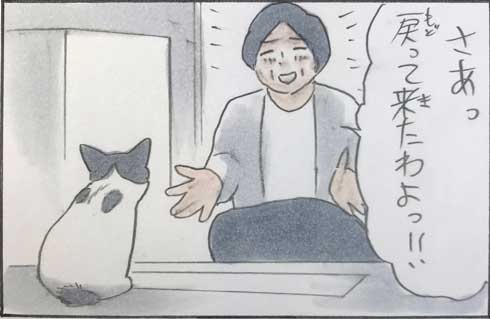 態度が急変する猫に「さっきまでのあなたはどこ!?(汗)」 窓越しだとデレるのに対面すると冷める猫漫画に共感の声 https://t.co/GDmzgjaZtX @itm_nlabより 