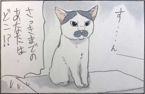 態度が急変する猫に「さっきまでのあなたはどこ!?(汗)」 窓越しだとデレるのに対面すると冷める猫漫画に共感の声 https://t.co/GDmzgjaZtX @itm_nlabより 