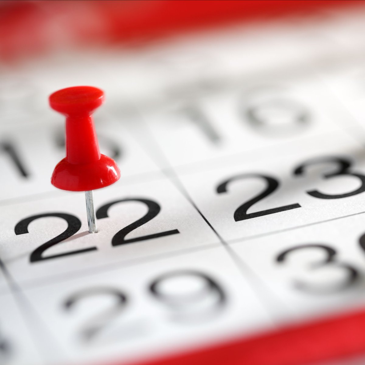 CaptiveNation's tweet photo. Mark your calendar &amp; register today for our event next Thursday, 9/9 at 10am CST. We'll be sharing CASE STUDIES &amp; SOLUTIONS during our monthly Captive Insurance 101 Zoom. Join us! https://t.co/Tfdl2rHMnu 
#cpa #ceo #cfo #cfa #fa #ea #attorney #familyoffice #businessowner https://t.co/ZYt9PKHCTl