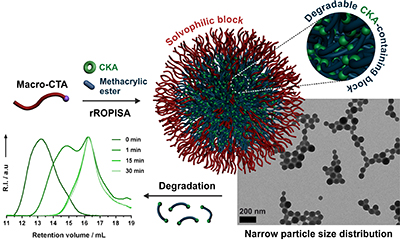 📢 I have a fantastic finishing PhD student <a href="/justinmacrocta/">chen(justin) zhu</a> working on PISA, rROP &amp; biomed app, who is looking for a post-doc abroad from 2022. He has co-authored 4 papers (2 <a href="/PolymChem/">Polymer Chemistry</a>, <a href="/MacroJrnls_ACS/">ACS Macro Journals</a> <a href="/JCRnEDITORS/">J Controlled Release</a>) + 4 under prep.
I strongly recommend him, please help by RT 🙏
