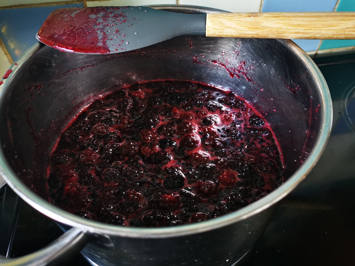 Time to get this mama back in the kitchen! 1st time making jam today, we'll see how bad it goes!
#jammaking #homecooking #blackberryjam #foragejam #mumsinkitchens