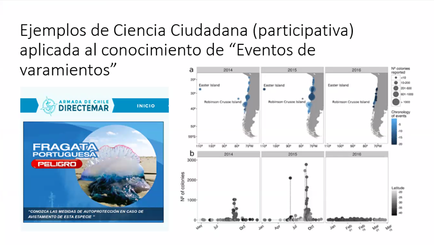 Veronica Oikos y la red de acción temprana de respuestas a varamientos. Un problema de nuestros oceanos.
#CongresoCC2021