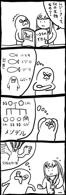 りんムジ 生物 