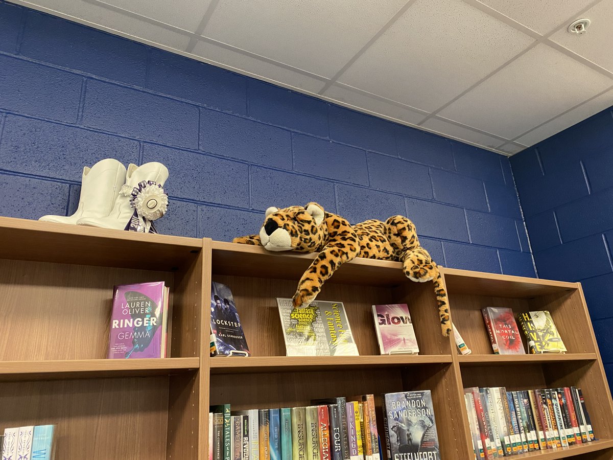 Holly Earl (@fm9library) on Twitter photo Thanks <a href="/FMHSLibrary/">Karen Storrie</a> for sharing with us! We love having a jaguar in the library! #LISDLib Thanks <a href="/FMHSLibrary/">Karen Storrie</a> for sharing with us! We love having a jaguar in the library! #LISDLib