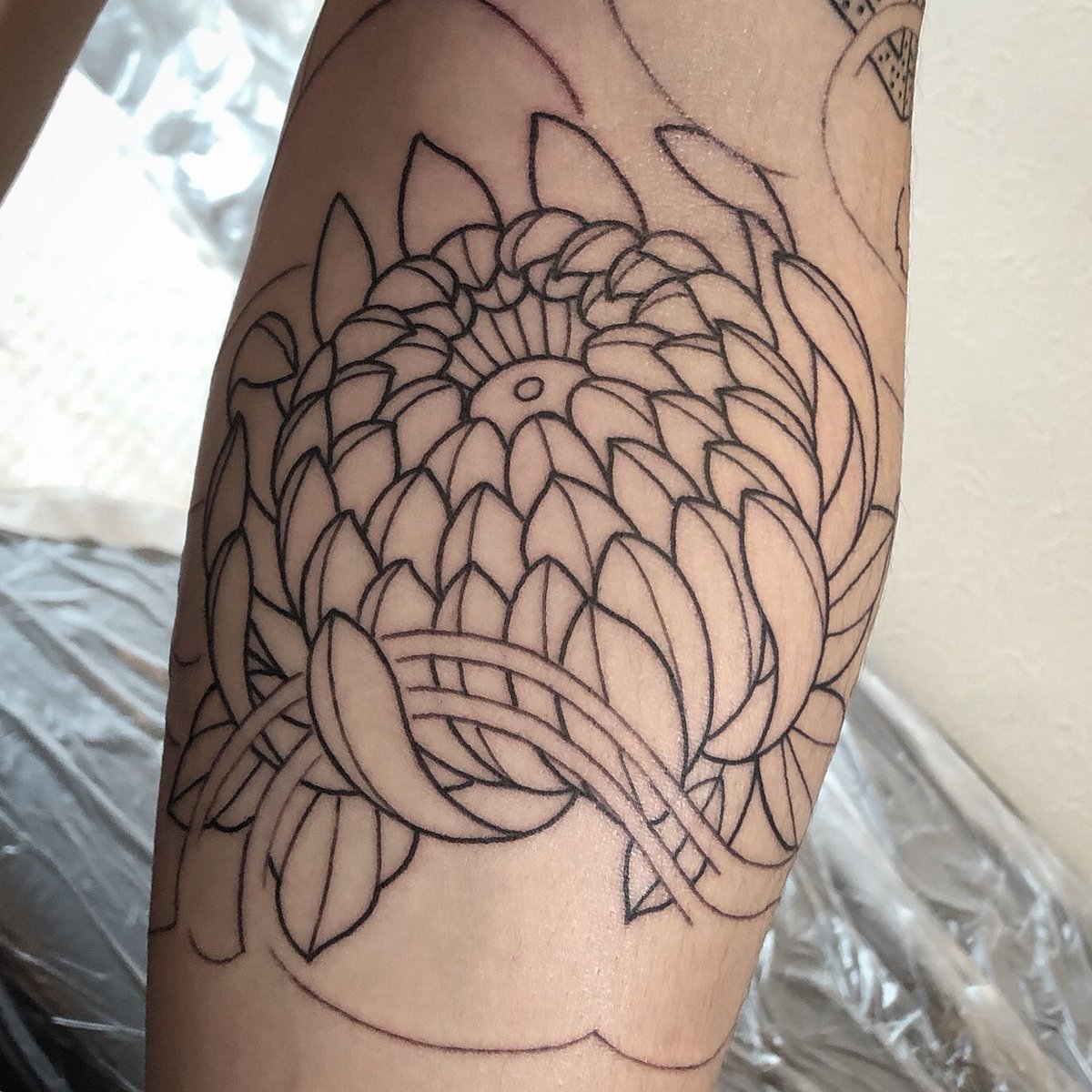 HoridonTattoo's tweet photo. 0250さまでした！

#泉州　#岸和田　#和泉市　#泉大津　#刺青　#彫どん　#タトゥー　#tattoo #泉州タトゥー　#岸和田タトゥー　#和泉市タトゥー https://t.co/xNMHBnUuY2