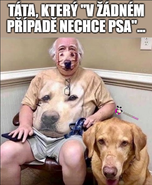 MagDoggo's tweet photo. Známe tyhle pokrytce...😅 #doggomag #dogmeme #dog #meme https://t.co/Il27Dpua5y