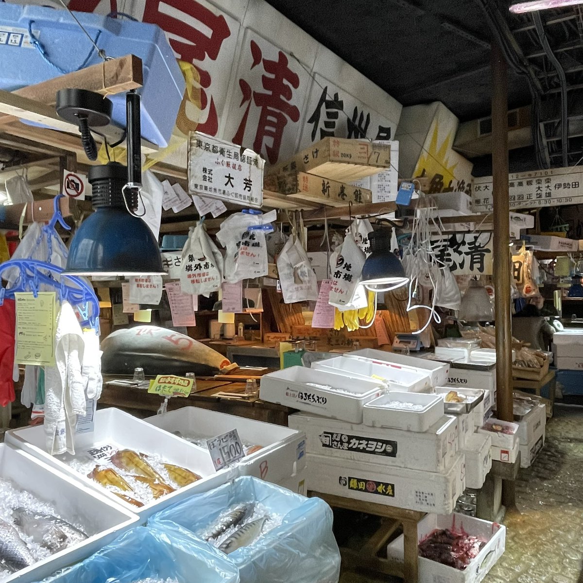Non, je ne suis pas à Tokyo devant l’étal d’un marché aux poissons mais bien à Paris, chez Kodawari Ramen, rue de Richelieu, dans un étonnant restaurant japonais à la décoration insensée.