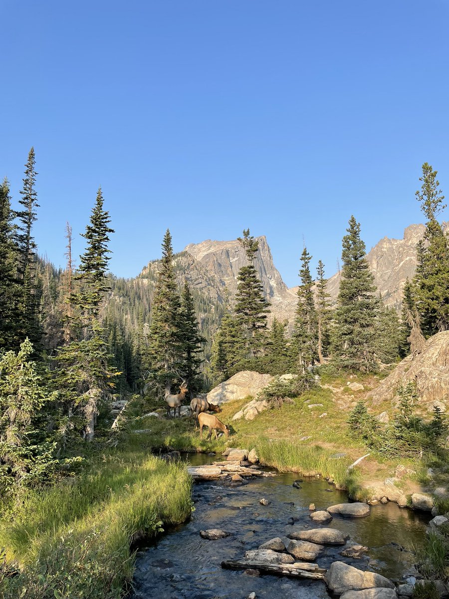 Organic cages and wide open spaces. Thanks <a href="/NAMS2021/">NAMS 2021</a>!