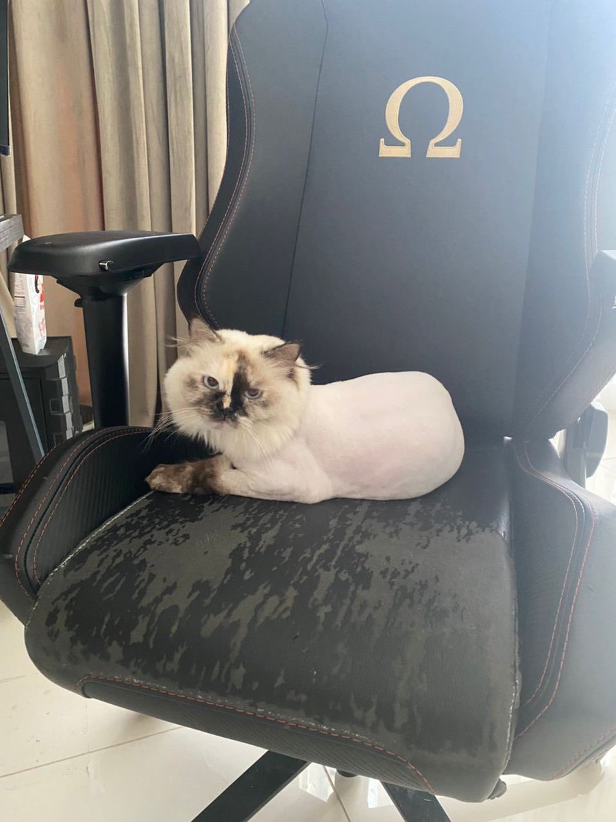 appa (ft. aegi) tweet media