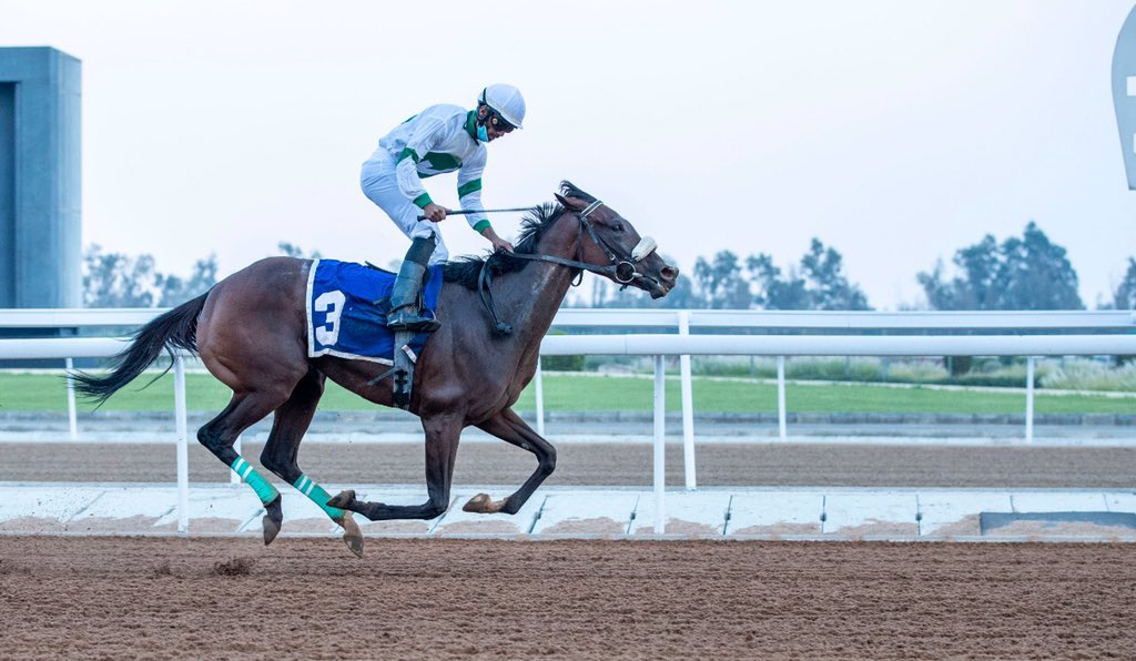 📷 #موسم_الطائف:

🤩 الشوط 6

📍الفرس مناجدة 🐎

ابنة الفحل كيد إنتري

- المالك :  محمد سعيد السميري 

- المدرب : محمد السميري

- الخيال :  محمد الرشيد 

- المسافة :  1200م 

- الزمن ⌚️:1:20:59

#نادي_سباقات_الخيل🇸🇦