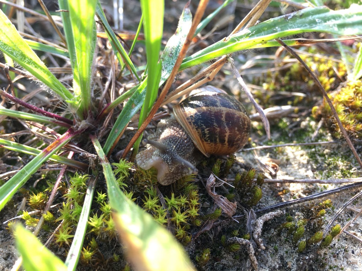 sampling week in terra dunes