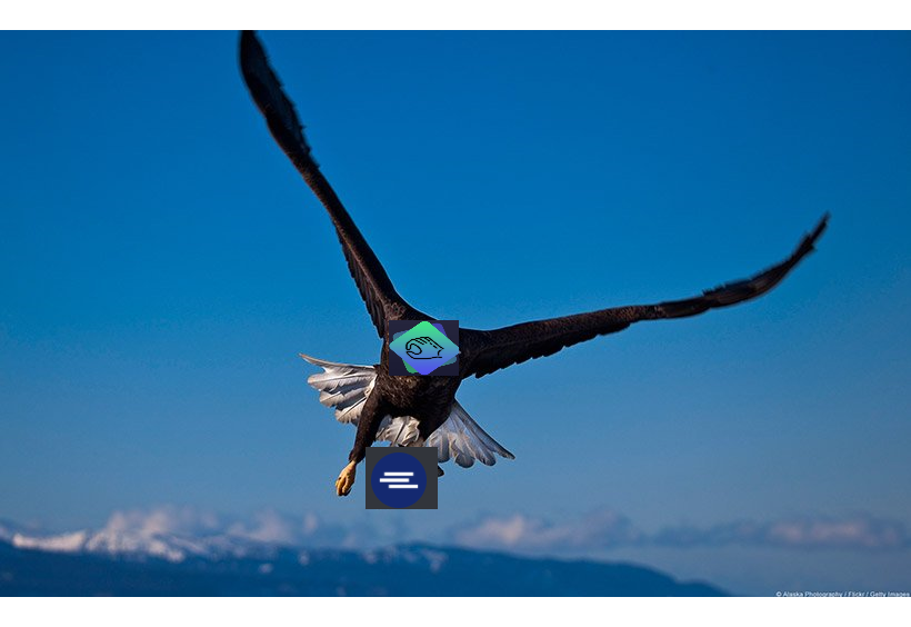 marbellus84's tweet photo. @TweetCatcherBot  Unfortunately I'm not good with graphics, but in this photo I wanted the power of tweetcat while was catching prey #TClogo https://t.co/n0KDD8fjB8