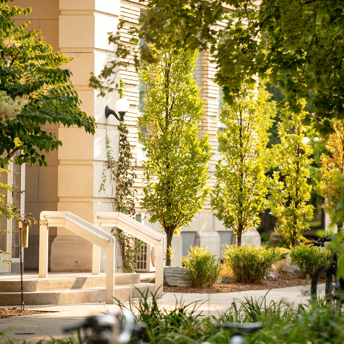 USUAggies's tweet image. Not a morning person? We can&apos;t relate. #LightFlex