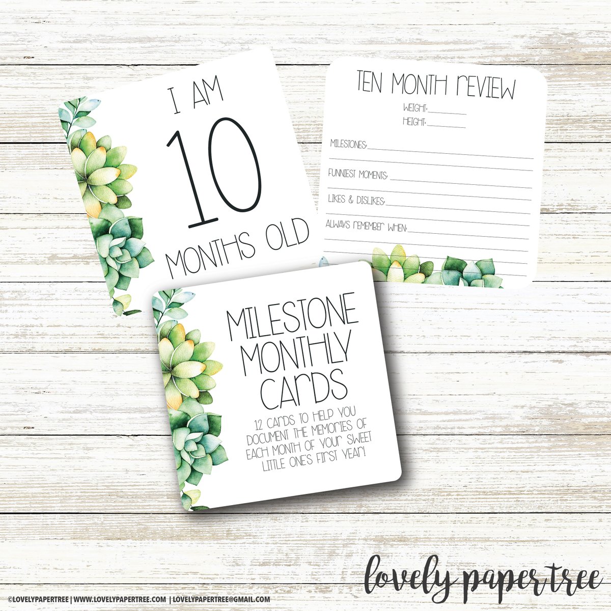 LovelyPaperTree tweet picture