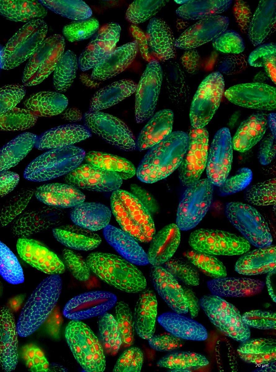 Check out images from SLIM currently on display around University of Nottingham Lakeside. Part of Biodiscovery Institute offical lauch on 6th Sept