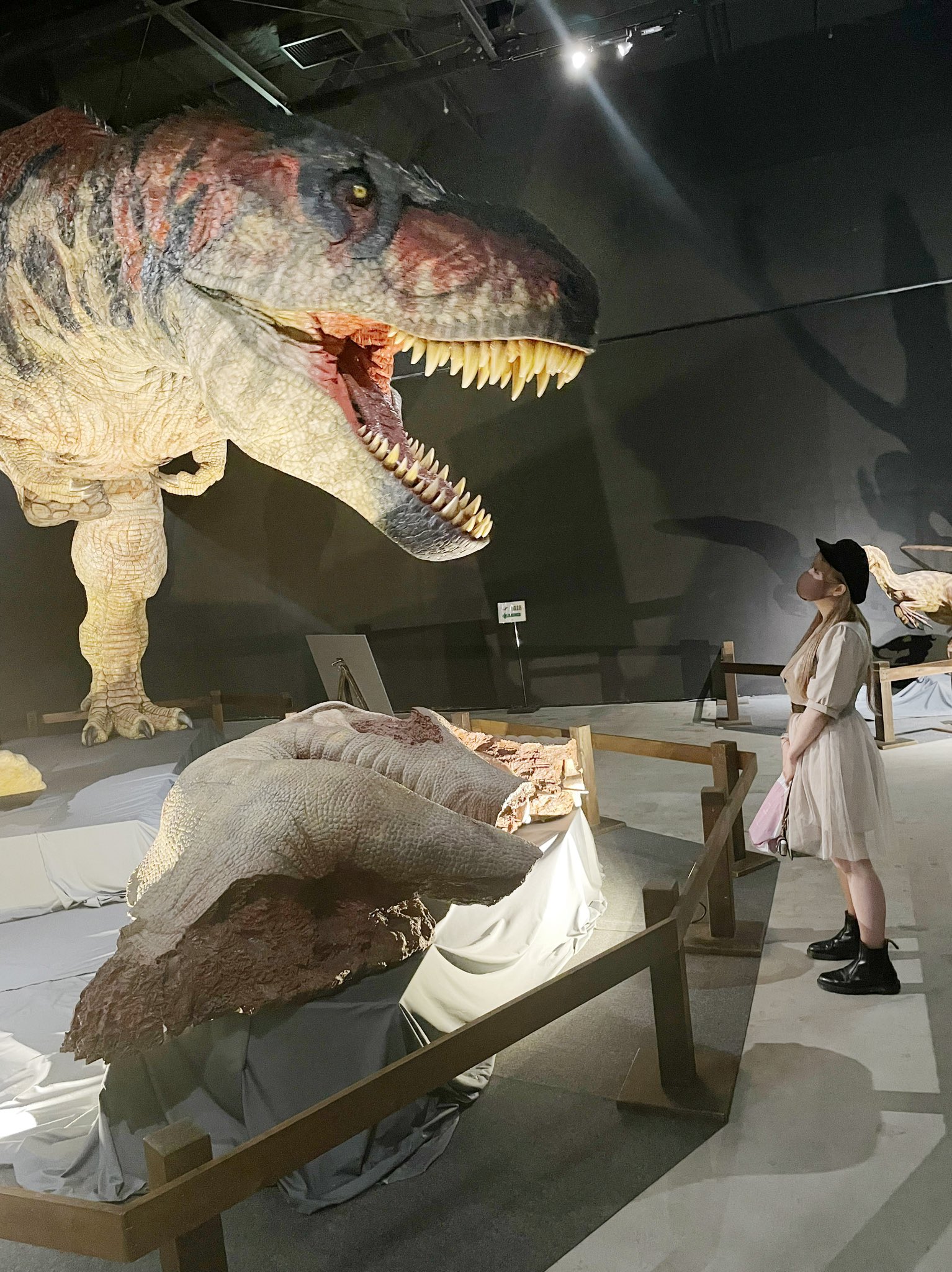 大恐竜展★タルボサウルス☆記念メダル★茶平工業 大恐竜展☆タルボサウルス☆記念メダル☆茶平工業