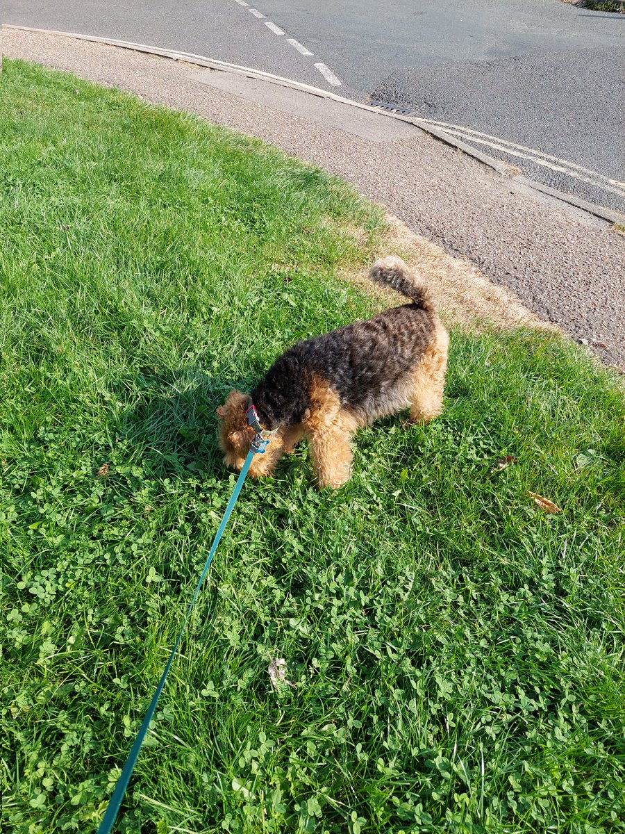 Just out with my dad and checking my pmails