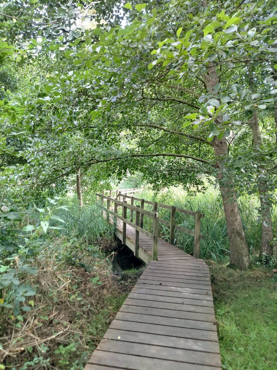 __asroy's tweet photo. Last week I walked from @SnapeMaltings to #TheRedHouse at Aldeburgh to connect Britten's two main sites. My #WalkWithBritten follows the #SailorsPath thru some of Suffolk's most beautiful &amp; dramatic landscape, along the river Alde, through Blackheath &amp; Hazelwood onto Red House. https://t.co/Rw4OW4JKnw